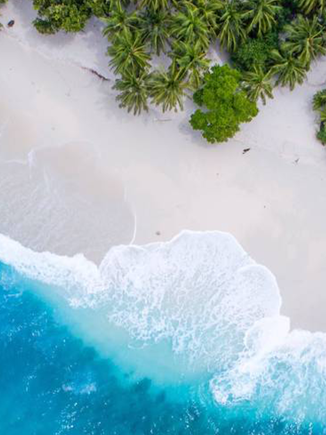 Things to do in Puerto Rico